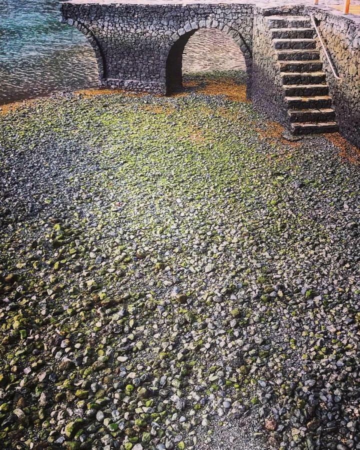 Canamo Tamaduste Exterior foto